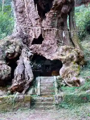 武雄神社(佐賀県)