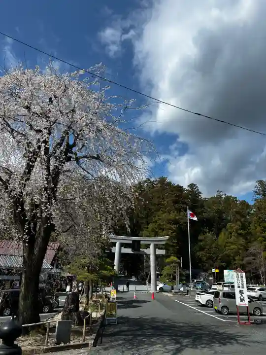 小國神社の{uncategorized: "未分類", other: "その他", undefined: "問題あり", building: "その他建物", grave: "お墓", sacred_gate: "鳥居", guardian: "狛犬", statue: "像", buddha: "仏像", history: "歴史", nature: "自然", garden: "庭園", animal: "動物", pagoda: "塔", temizu: "手水舎", mountain_gate: "山門・神門", sanctuary: "本殿・本堂", subordinate: "末社・摂社", art: "芸術", scenery: "景色", jizo: "地蔵", ema: "絵馬", goshuin: "御朱印", omikuji: "おみくじ", items: "授与品その他", amulet: "お守り", goshuincho: "御朱印帳", eats: "食事", festival: "お祭り", votive_dance: "神楽", shichigosan: "七五三参", wedding: "結婚式", experience: "体験その他", initially: "初詣", around: "周辺", anti_infection: "感染症対策"}
