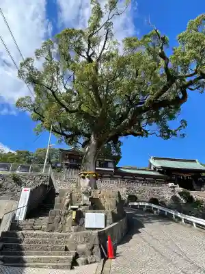 鎮西大社諏訪神社(長崎県)
