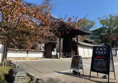 醍醐寺(京都府)