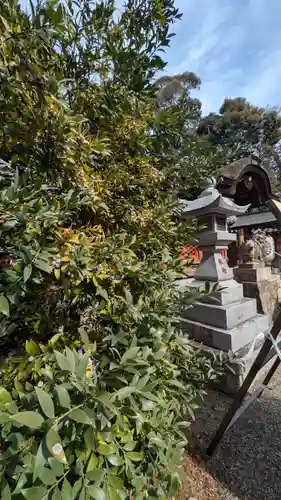 毛知比神社(滋賀県)