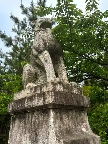 鳥取縣護國神社の狛犬