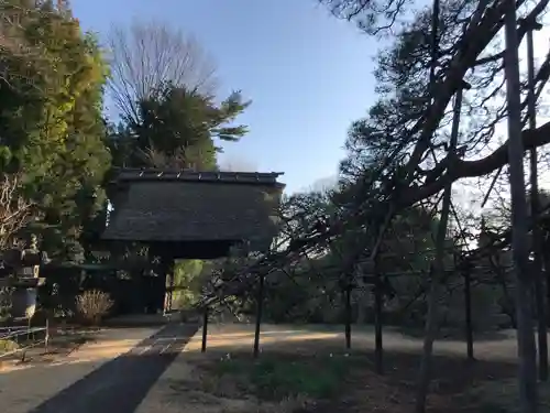 海岸寺の庭園