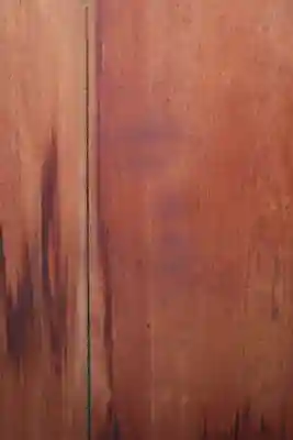 宝泉院(京都府)