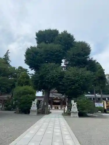 亀ケ池八幡宮のその他建物