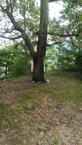 俵崎神社の自然