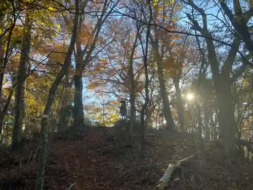 高越寺(徳島県)