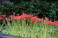 熊野福藏神社の庭園