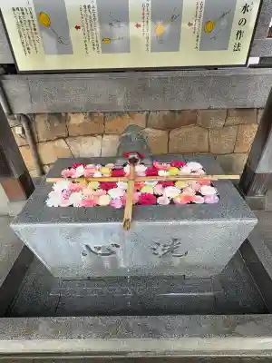 亀山八幡宮(山口県)