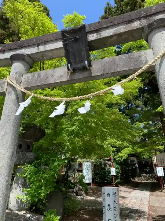 渋川八幡宮の鳥居