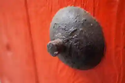 法善寺のその他建物