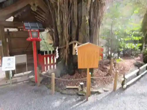 貴船神社の自然
