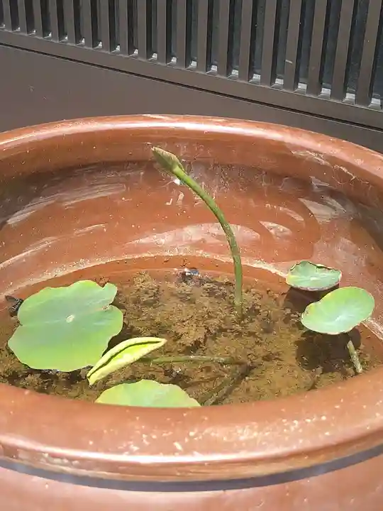 雨竜 専福寺(北海道)