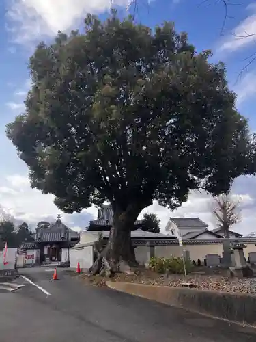 真言宗　善通寺派　薬王寺(香川県)