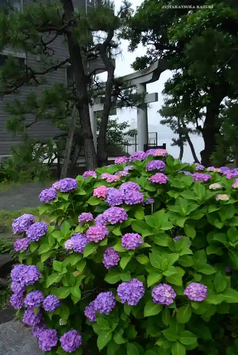 琵琶島神社(神奈川県)