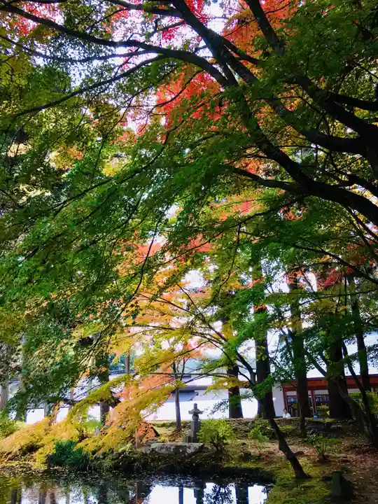 中尊寺本堂の庭園