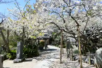 大宝寺(愛媛県)