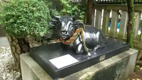 静岡天満宮の狛犬