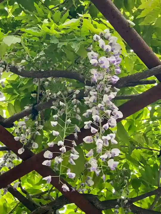 安井金比羅宮(京都府)