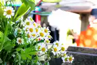 三津厳島神社の自然