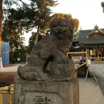 中野沼袋氷川神社の狛犬