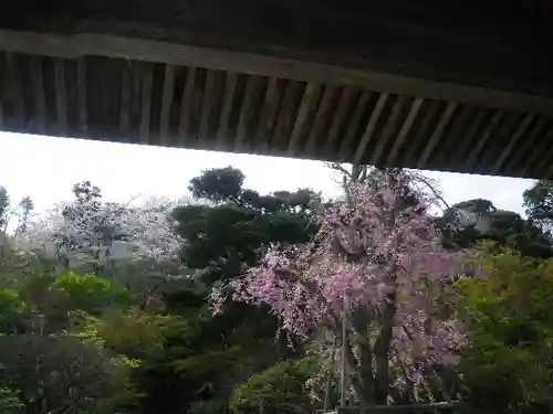 長谷寺のその他建物