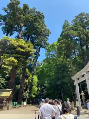 鹿島神宮(茨城県)