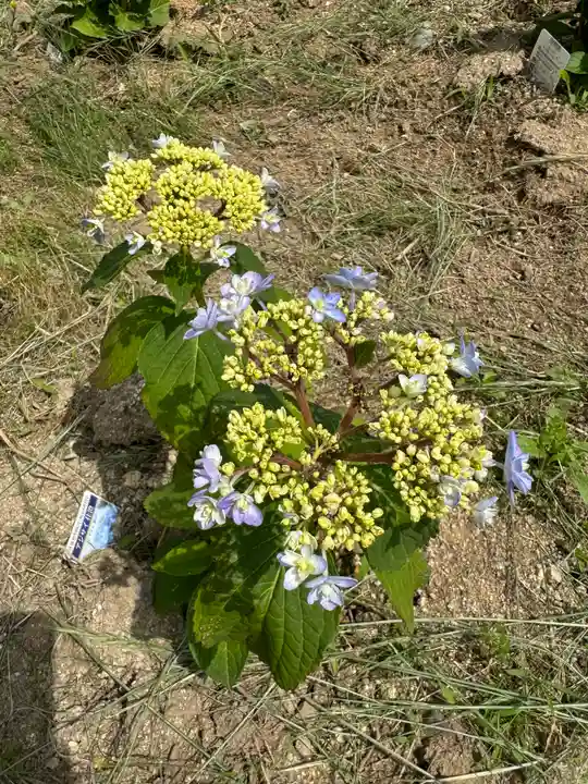 熊野福藏神社(福島県)