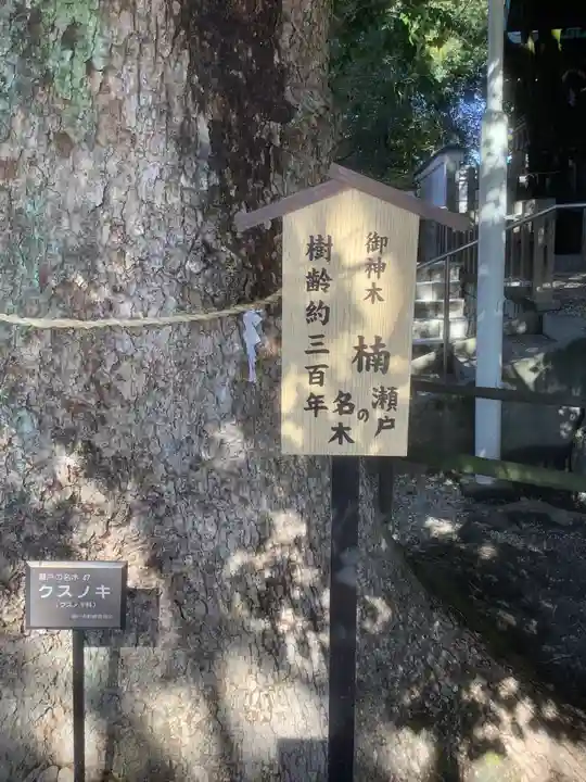 八王子神社の自然