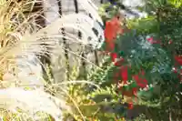 一条山宝蓮寺の景色