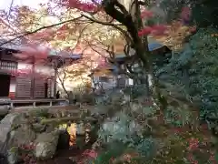 金剛輪寺(滋賀県)