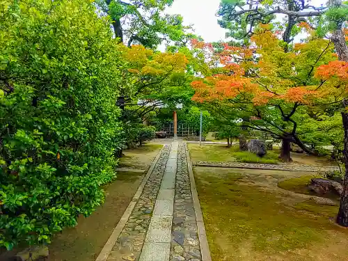 青大悲寺の庭園