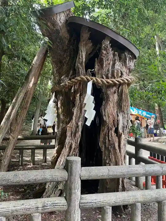 賀茂御祖神社(下鴨神社)の自然