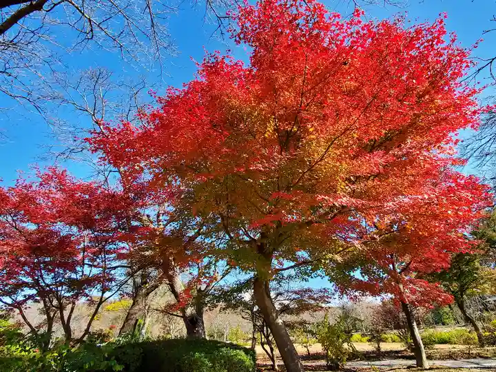 緑水神社の自然