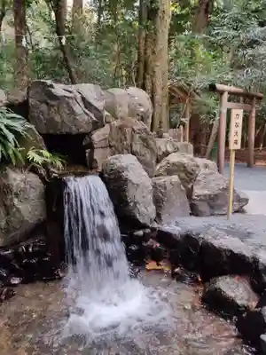椿岸神社の自然