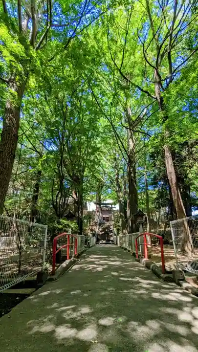 下総国三山 二宮神社の自然