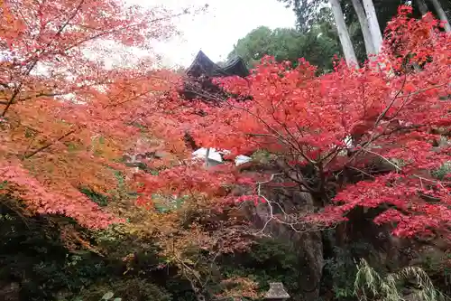 長命寺の建物その他