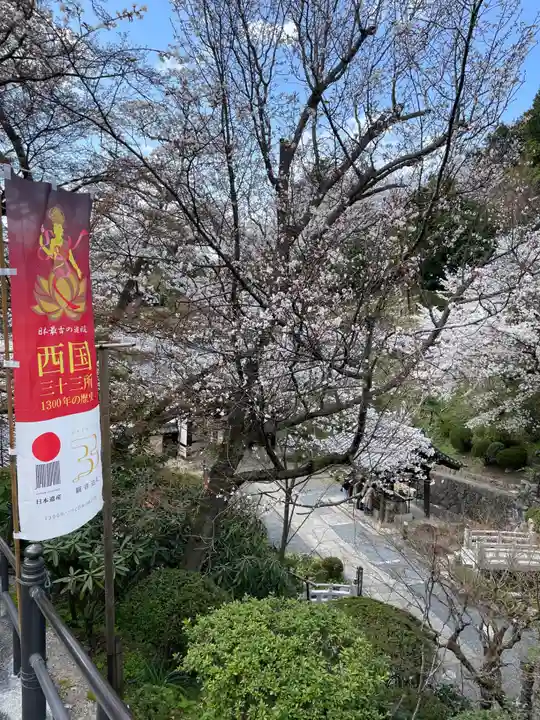 岡寺(龍蓋寺)(奈良県)