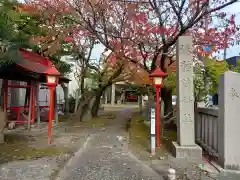 稲荷神社(新潟県)