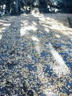 諏訪神社(神奈川県)