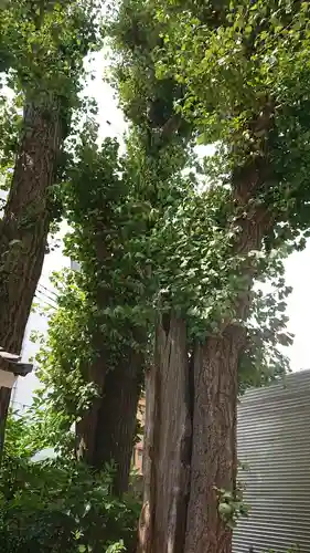 須賀神社の自然