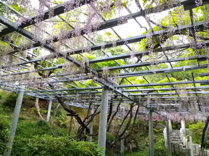 阿智神社の自然
