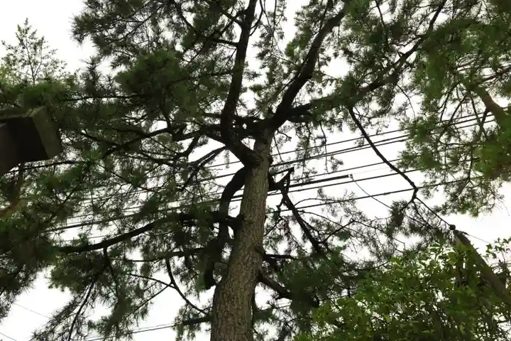 行田八幡神社(埼玉県)