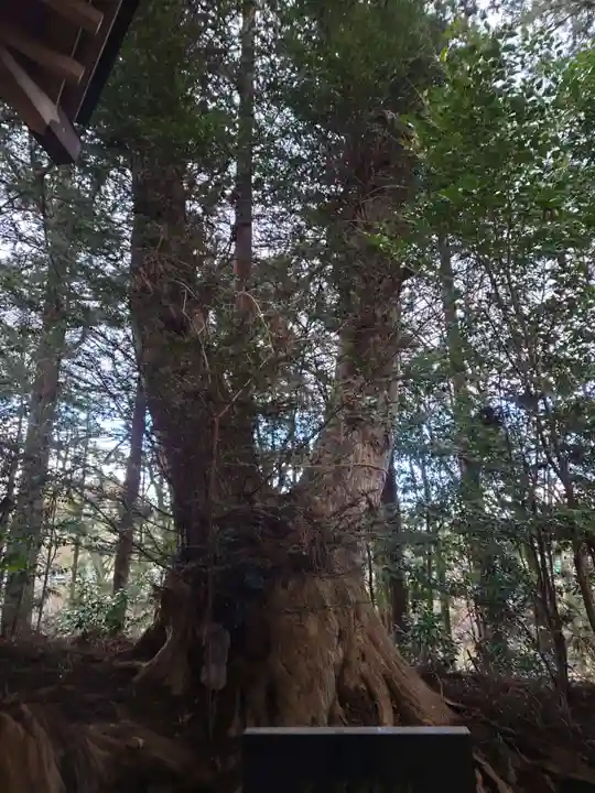 黒沼神社(福島県)