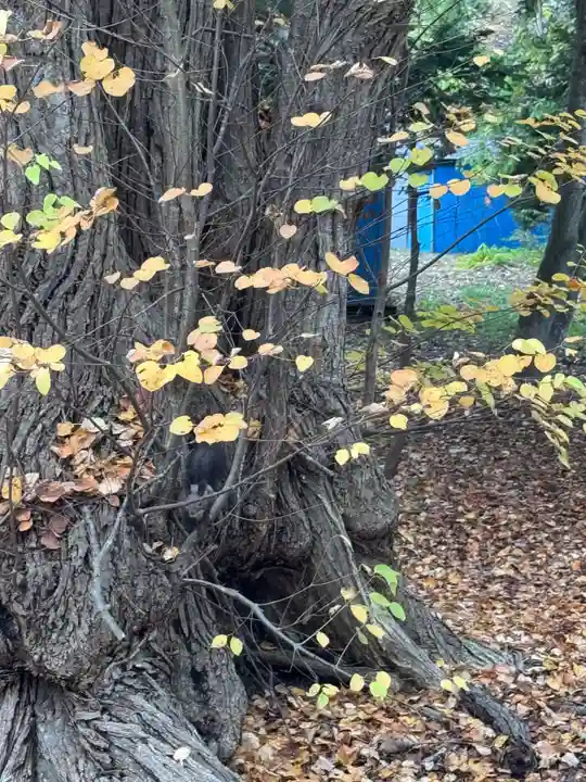 栗沢神社(北海道)