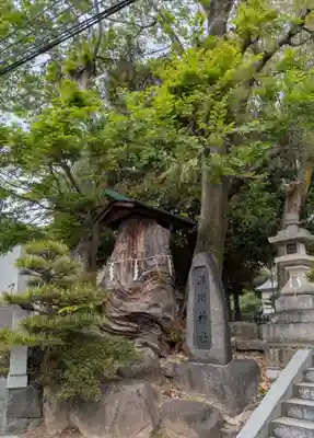 天児屋根命神社(大阪府)