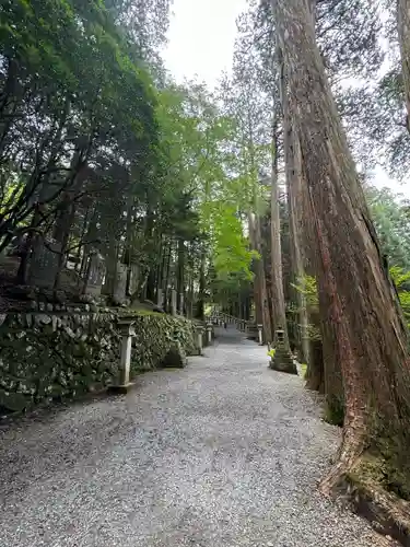 三峯神社(埼玉県)