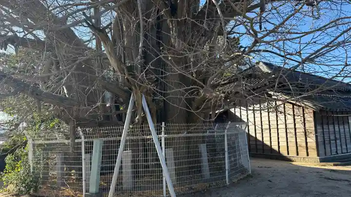 乳保神社(徳島県)