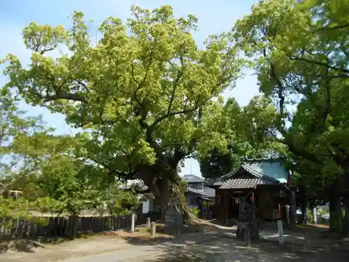 浜田阿蘇神社の自然