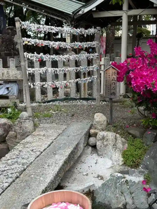別小江神社の{uncategorized: "未分類", other: "その他", undefined: "問題あり", building: "その他建物", grave: "お墓", sacred_gate: "鳥居", guardian: "狛犬", statue: "像", buddha: "仏像", history: "歴史", nature: "自然", garden: "庭園", animal: "動物", pagoda: "塔", temizu: "手水舎", mountain_gate: "山門・神門", sanctuary: "本殿・本堂", subordinate: "末社・摂社", art: "芸術", scenery: "景色", jizo: "地蔵", ema: "絵馬", goshuin: "御朱印", omikuji: "おみくじ", items: "授与品その他", amulet: "お守り", goshuincho: "御朱印帳", eats: "食事", festival: "お祭り", votive_dance: "神楽", shichigosan: "七五三参", wedding: "結婚式", experience: "体験その他", initially: "初詣", around: "周辺", anti_infection: "感染症対策"}
